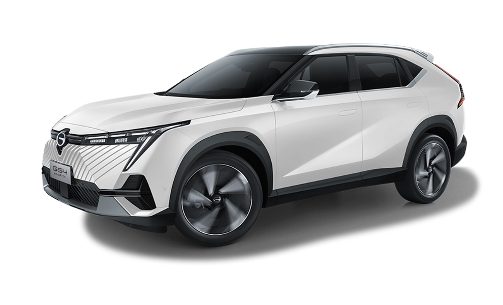 GS4 Hybrid